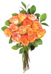 President's Choice Dozen Roses in assorted colours - 1 ea | Zehrs