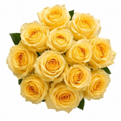 Dozen Colour Roses