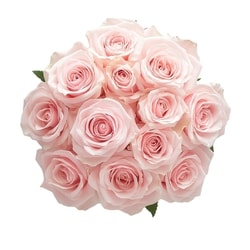 le Choix du Président Douzaine de roses de couleurs variées. 1 ea, 26,00 $/1ch