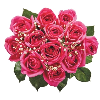 le Choix du Président Douzaine de roses de couleurs variées. 1 ea, 26,00 $/1ch
