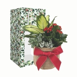 Westbrook Floral Holiday Gift Bag 1 ea, $22.00/1ea