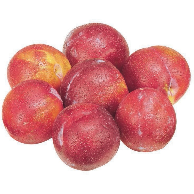 Plums
