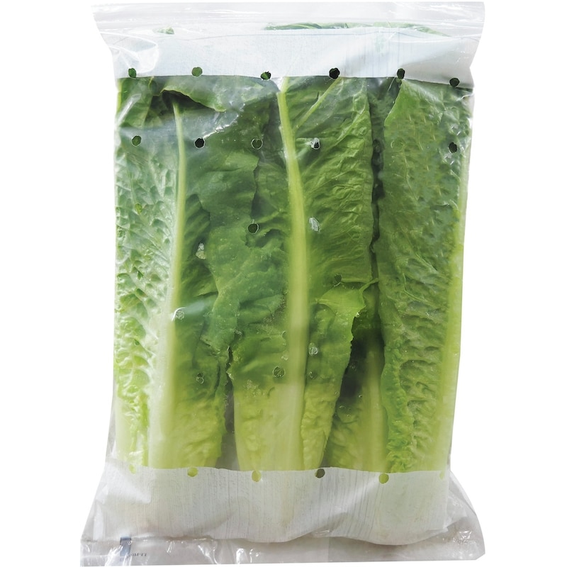 Organic Romaine Lettuce Hearts