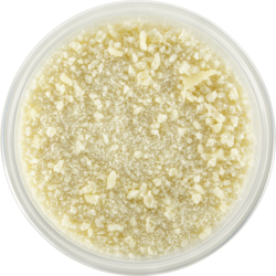 PC Splendido Parmigiano reggiano POD râpé (par poids) 5,49 $/100g 24,91 $/1lb