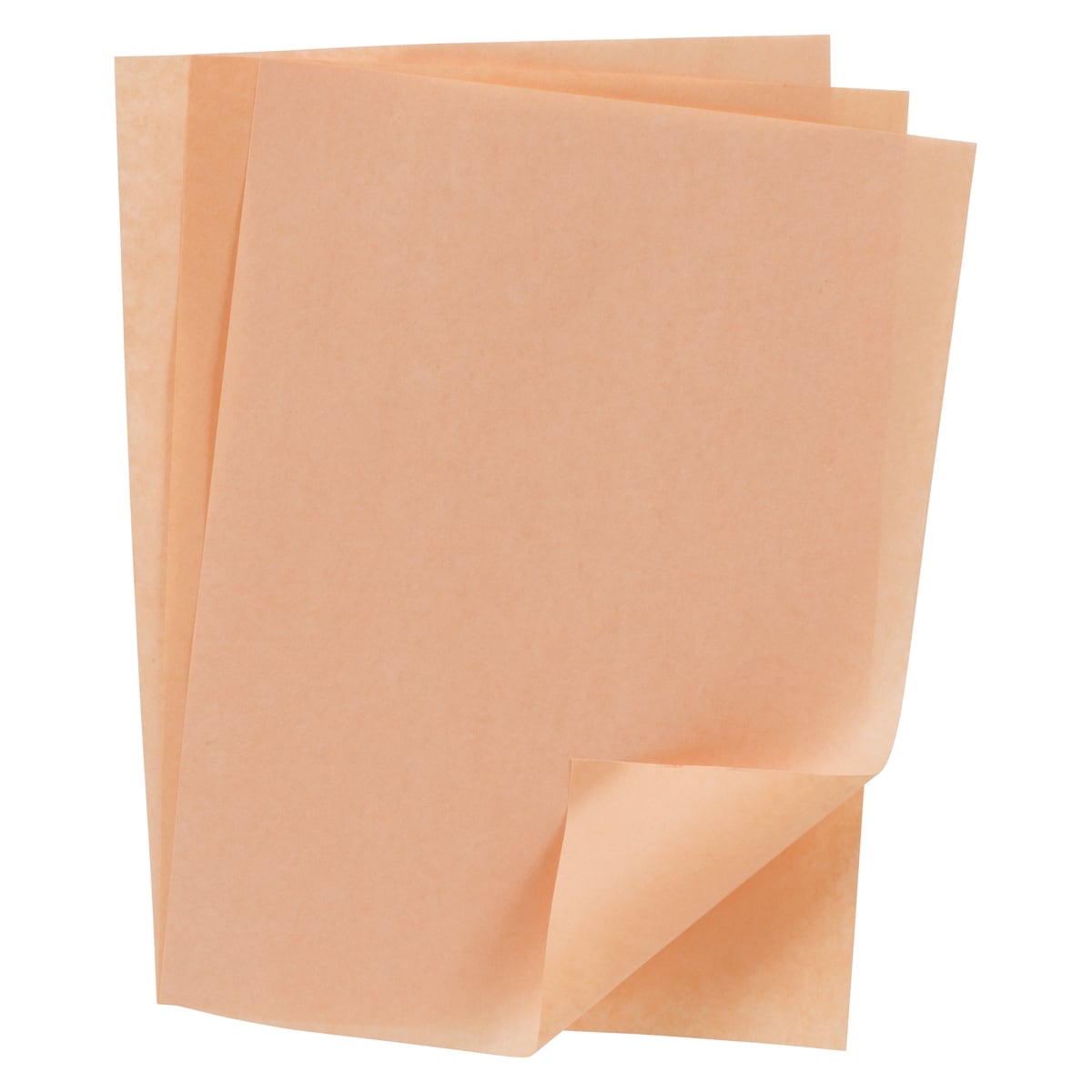 GFS Papier pêche de luxe 20 x 28 cm (8 x 11 po) 1000x1.0 ea, 0,03 $/1ch
