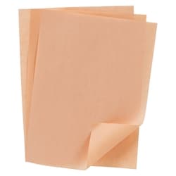 GFS Papier pêche de luxe 20 x 28 cm (8 x 11 po) 1000x1.0 ea, 0,03 $/1ch