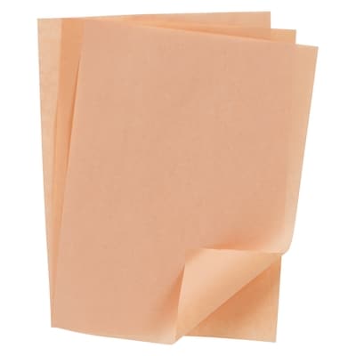 GFS Papier pêche de luxe 20 x 28 cm (8 x 11 po) 1000x1.0 ea, 0,03 $/1ch