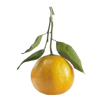 null Clementine Stem & Leaf $13.21/1kg $5.99/1lb