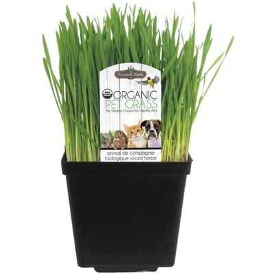 null Organic Cat Grass 1 ea, $5.00/1ea