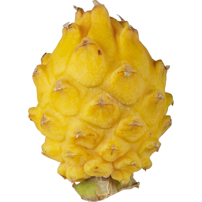 Yellow Dragon Fruit