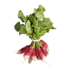 null French Breakfast Radish 1 ea, $2.49/1ea