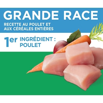 Nourriture sèche pour chiens adultes de grande race recette avec poulet et grains entiers