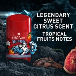 Old Spice Antiperspirant, Wolfthorn - 73 g | Dominion Stores of