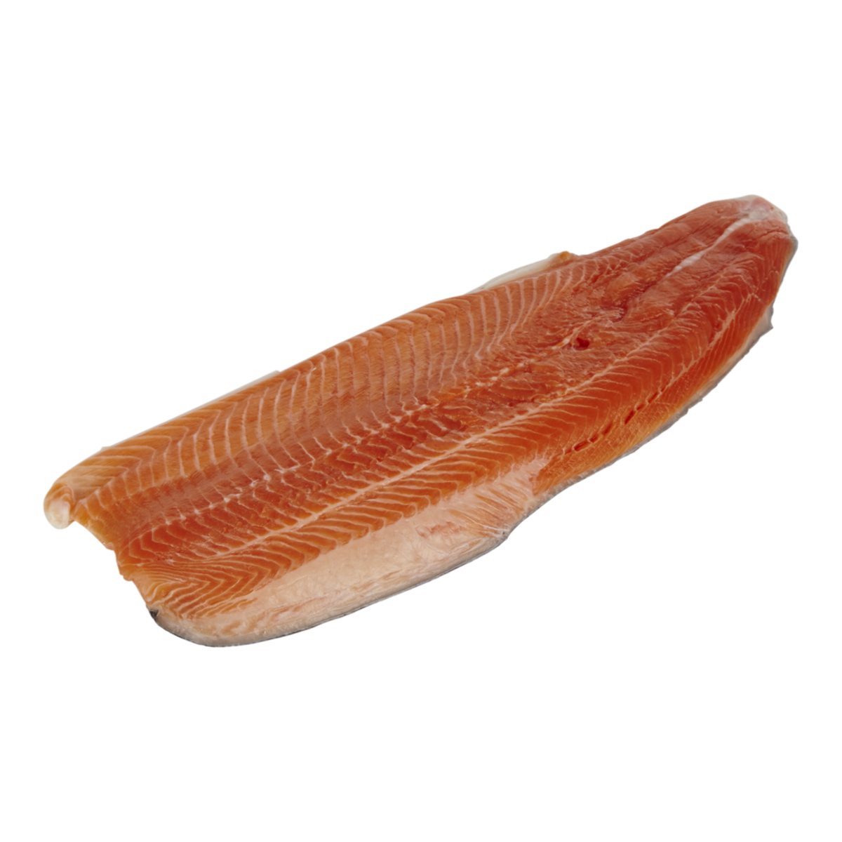 Fresh Farmed Steelhead Fillet