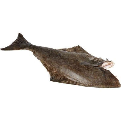 null Wild Pacific Halibut Fish $39.22/1kg $17.79/1lb