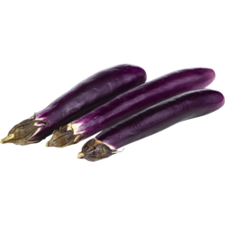 water eggplant Ping Tung Eggplant Organic Seeds – Hudson Valley Seed Company