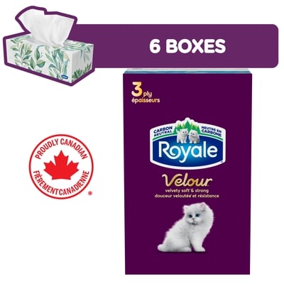 Royale Velour 3 Ply Facial Tissue, 6 Tissue Boxes, 72 Tissues per box 6x1.0 ea, $0.01/1ea