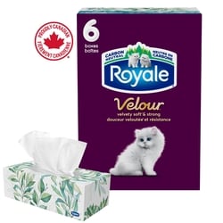 Royale Mouchoirs Velour à 3 épaisseurs, 6 boîtes, 72 mouchoirs par boîte 6x1.0 ea, 0,01 $/1ch