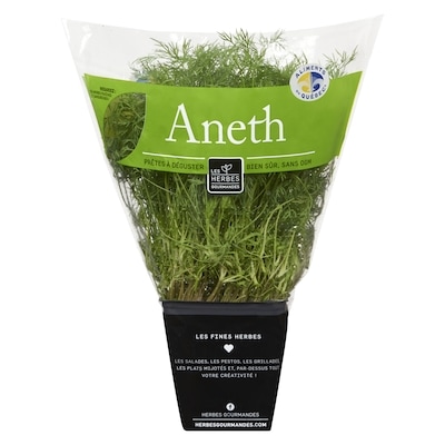 Aneth frais en pot