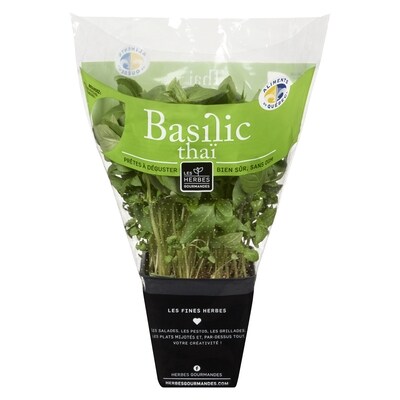 null Basilic thaïlandais frais en pot 1 ea, 3,99 $/1ch
