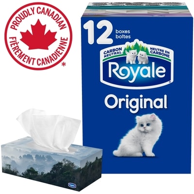 Royale Mouchoirs Original à 2 épaisseurs, 12 boîtes, 100 mouchoirs par boîte 1 ea, 0,16 $/1ch