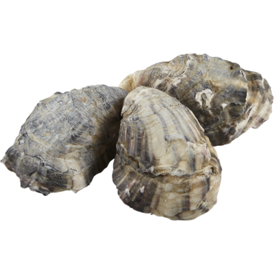 null British Colombia Kusshi Oysters 10 g, $22.90/100g
