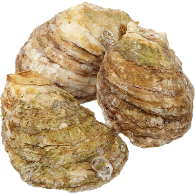 null Huîtres de Malpèque géantes 40 g, 5,73 $/100g