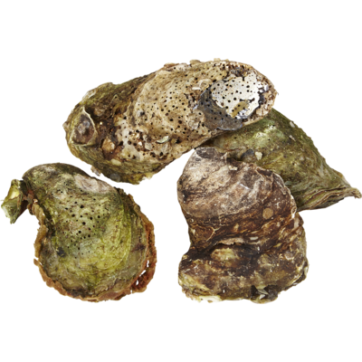 null Malpeque Oysters, Choice 40 g, $4.48/100g