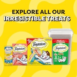 Temptations Tasty Chicken Flavour Adult Cat Treats 350 g