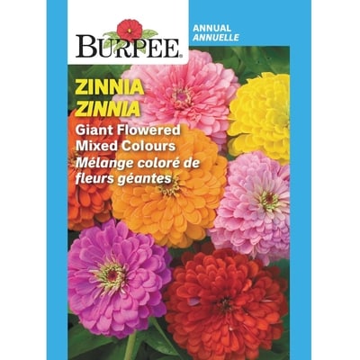 Burpee Zinnia Giant Flowered Mixed Colours 1 ea, $2.49/1ea