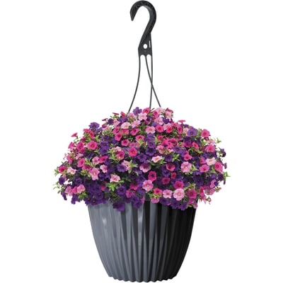 President's Choice Deluxe & Jumbo Hanging Baskets 1 ea, $20.00/1ea