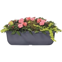 President's Choice Window Box Annual 24-Inch 1 ea, $32.00/1ea
