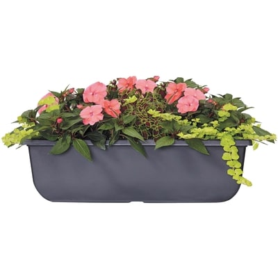 President's Choice Window Box Annual 24-Inch 1 ea, $32.00/1ea