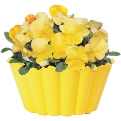 Farmer's Market 10-inch Pansy Bowl 1 ea, $15.00/1ea