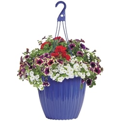 President's Choice Deluxe & Jumbo Hanging Baskets 1 ea, $26.00/1ea