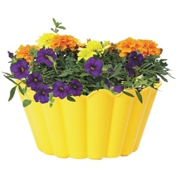 President's Choice Annual Bowl 10" 1 ea, $20.00/1ea
