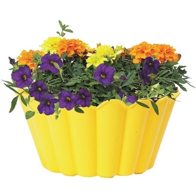 President's Choice Annual Bowl 10" 1 ea, $20.00/1ea