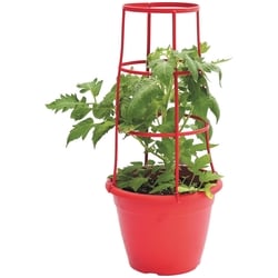 le Choix du Président PC CAGE POUR TOMATES 10,5PO 1 ea, 20,00 $/1ch