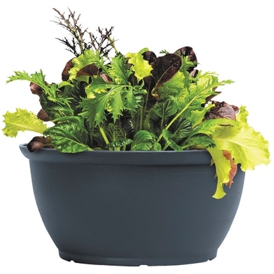 President's Choice Salad Bowl Mix 12In 1 ea, $13.00/1ea