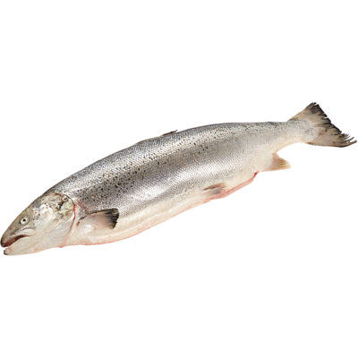 null Atlantic Salmon, Whole $22.02/1kg $9.99/1lb