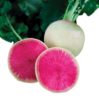 null Watermelon Radish $11.00/1kg $4.99/1lb