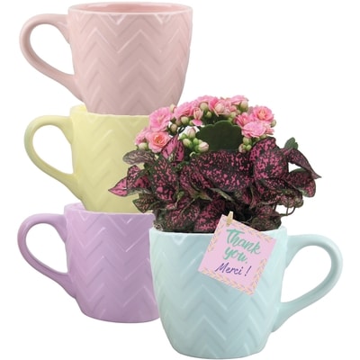 null Administrative Assistants Day Garden 1 ea, $18.00/1ea