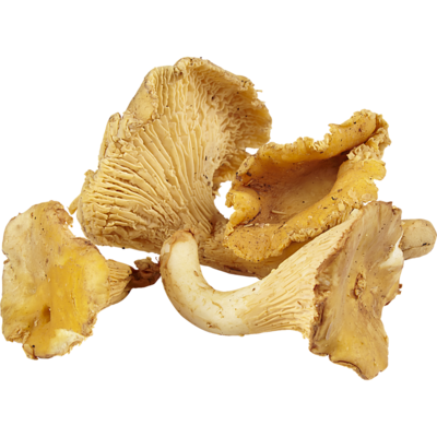 null Hedgehog Mushrooms $5.51/100g $55.09/1kg