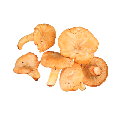 null Chanterelle Mushrooms $5.51/100g $55.09/1kg