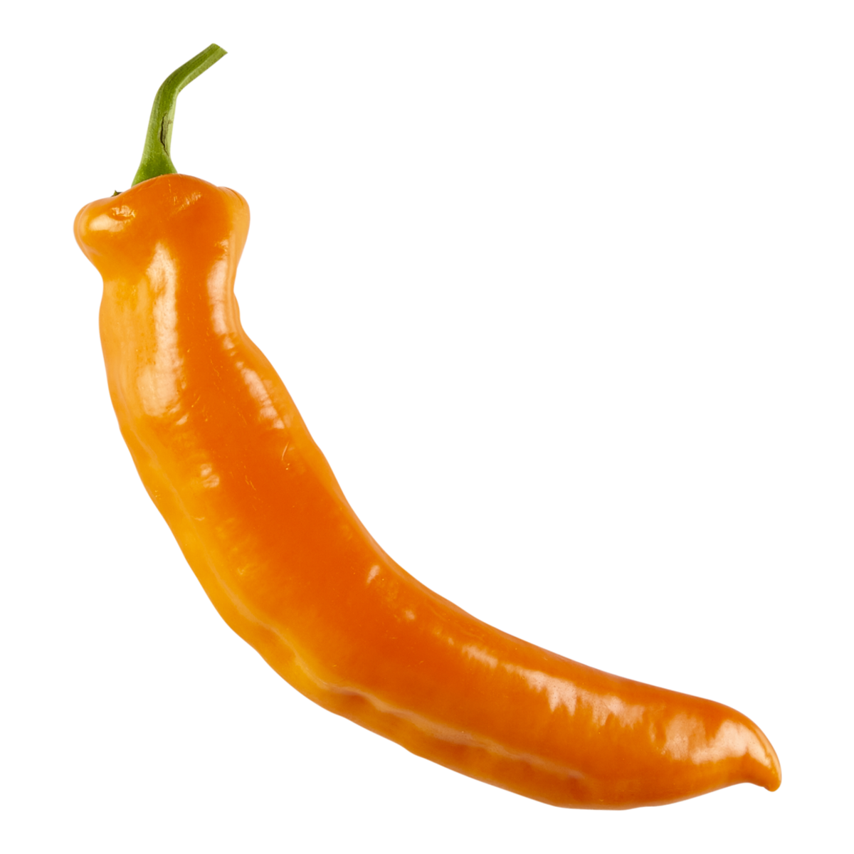 null Peppers, Orange Sheppard $11.00/1kg $4.99/1lb
