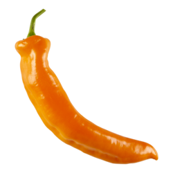 null Peppers, Orange Sheppard $12.10/1kg $5.49/1lb