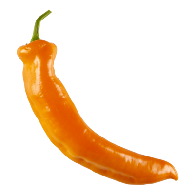 null Peppers, Orange Sheppard $11.00/1kg $4.99/1lb