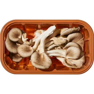 Champignons entiers, pleurote