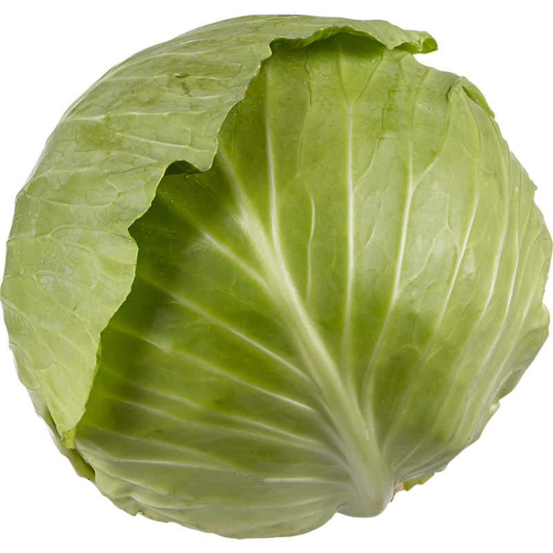 Cabbage, Green
