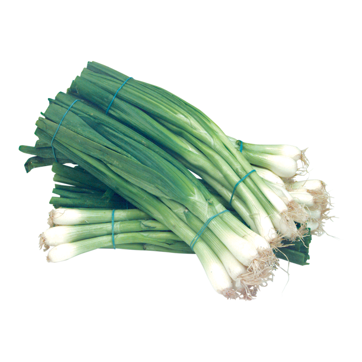 Green Onions